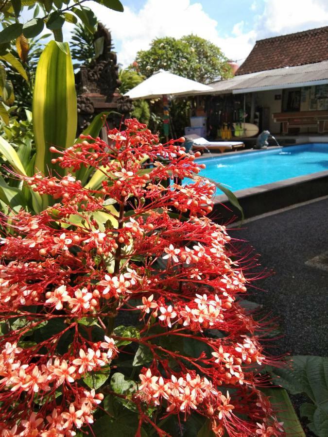 Sunwukong Guest House Ubud Buitenkant foto